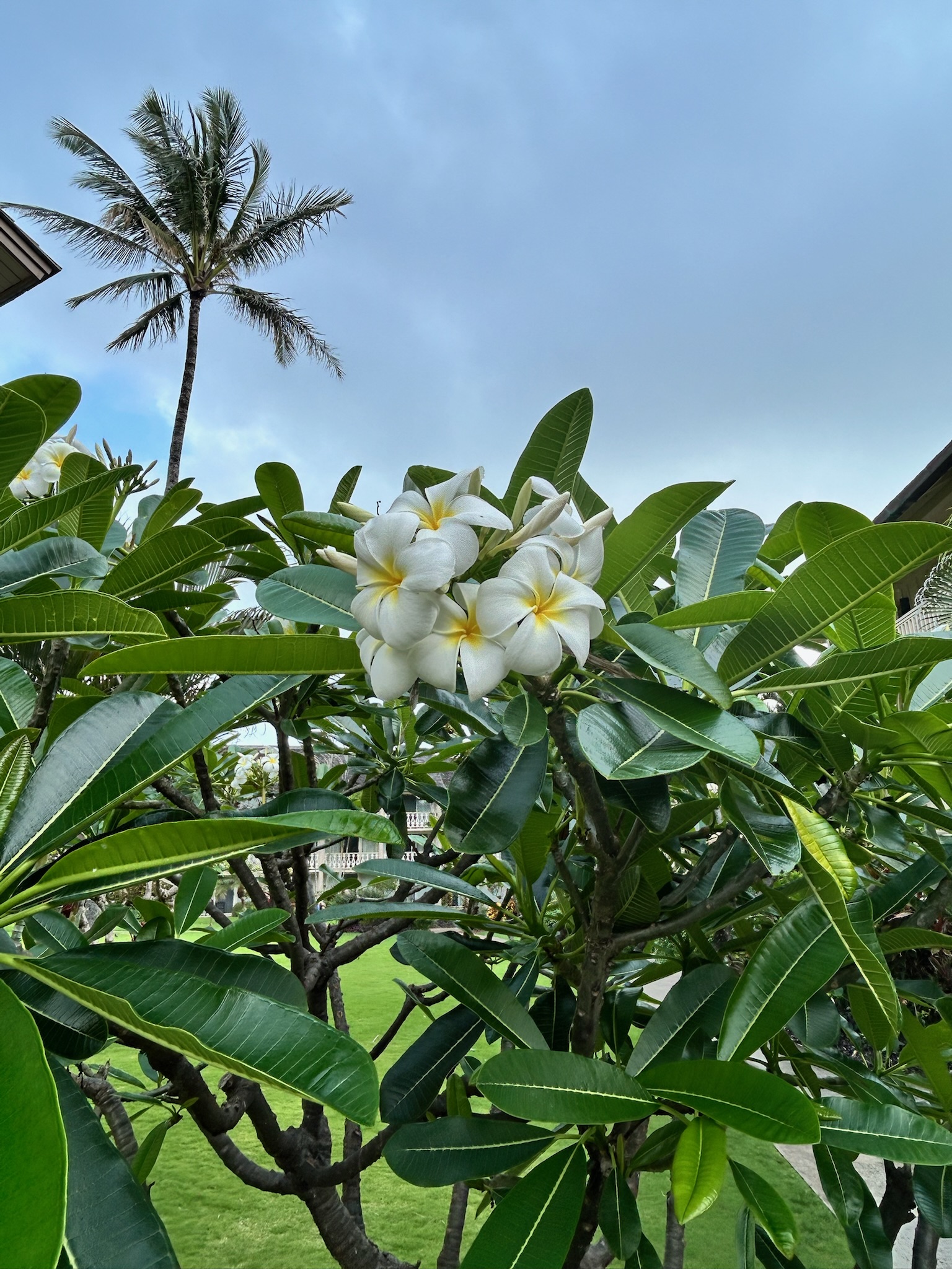 On Kauai